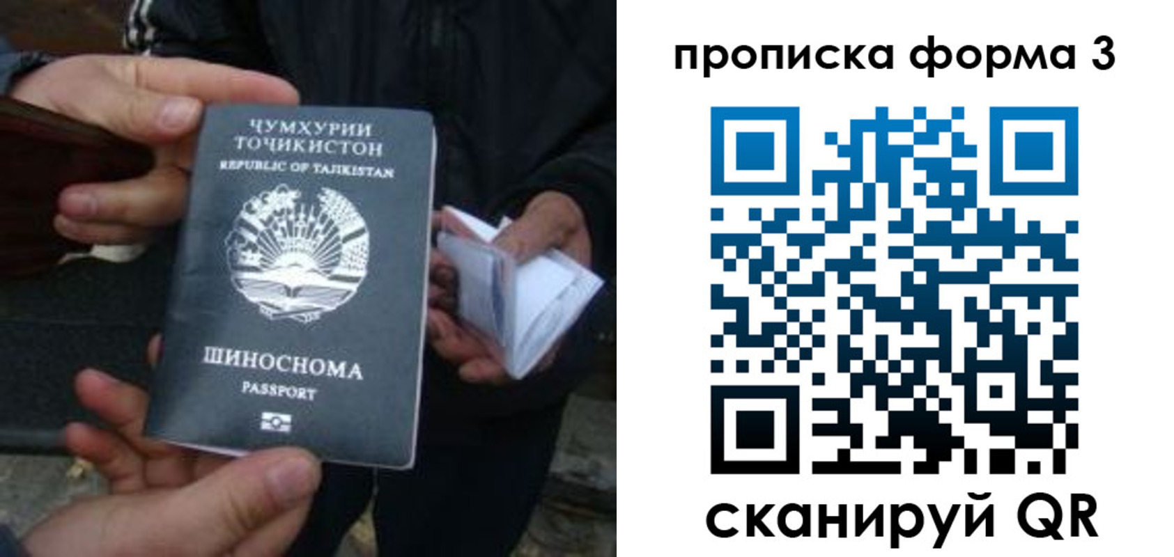 прописка 2025 в Узловой